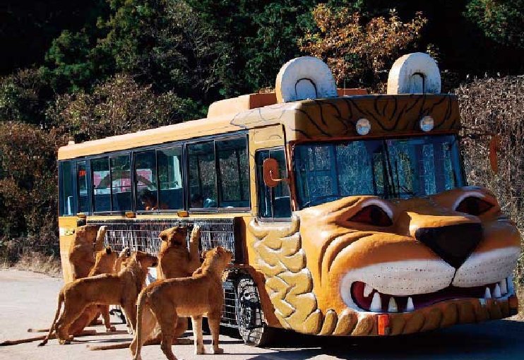 🦁 아키요시다이 자연동물공원 사파리랜드(아키요시다이 시젠도부츠코엔 사파리란도) 이미지 1